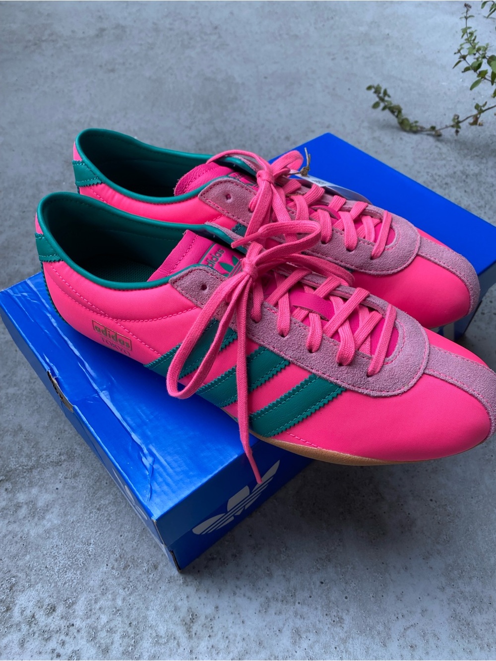 adidas Originals Pink and Teal Women's Low-Top Sneakers